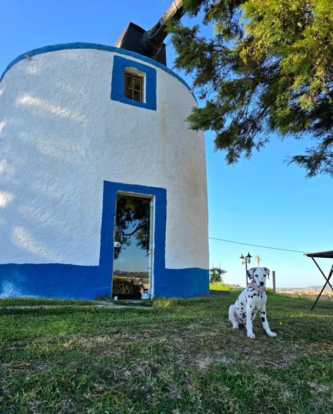 Casal Do Moinho Villa Enxara do Bispo Екстериор снимка